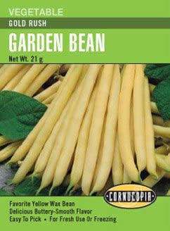 Bean Gold Rush - Cornucopia Seeds