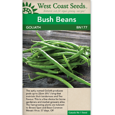 Bush Beans Goliath - West Coast Seeds