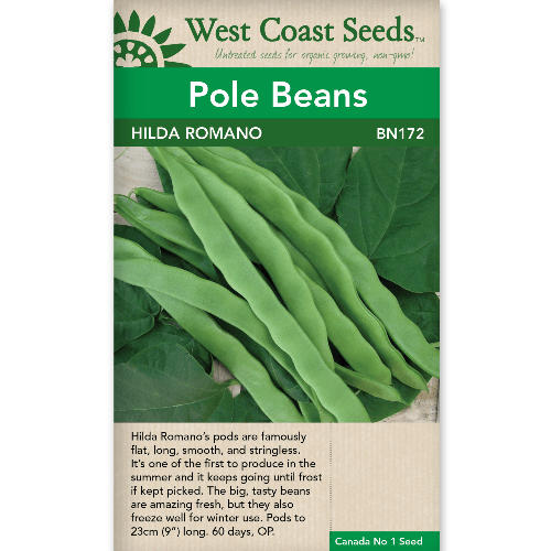 Bean Hilda Romano - West Coast Seeds