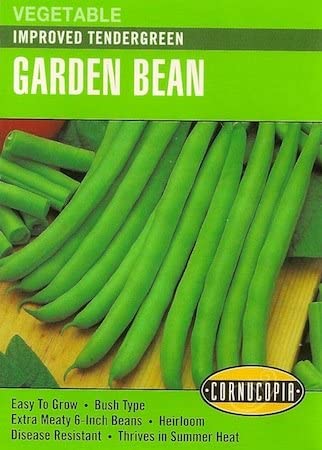 Bean Improved Tendergreen - Cornucopia Seeds