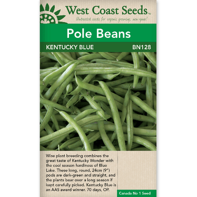 Bean Kentucky Blue - West Coast Seeds
