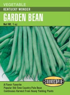 Bean Kentucky Wonder - Cornucopia Seeds