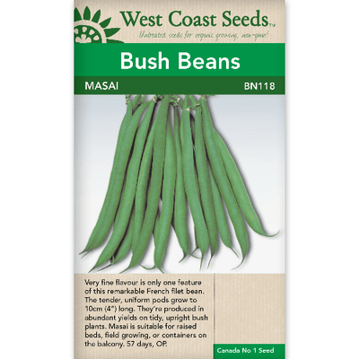 Bean Masai - West Coast Seeds