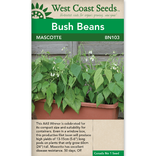 Bush Beans Mascotte - West Coast Seeds