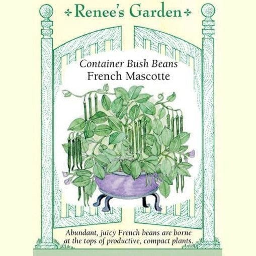Bean Mascotte Container - Renee's Garden Seeds