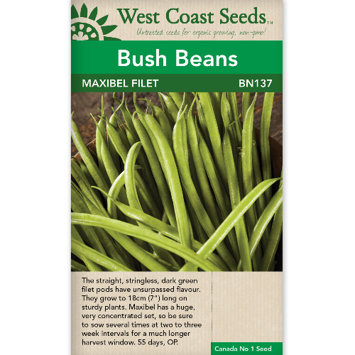 Bean Maxibel - West Coast Seeds