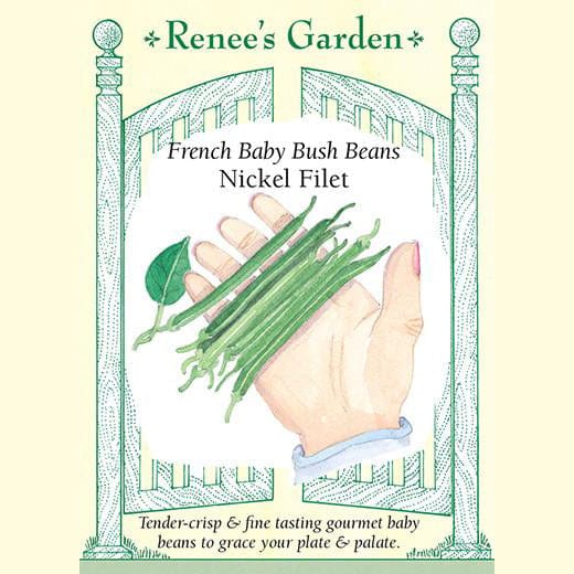 Bush Beans Nickel Filet - Renee's Garden 