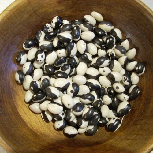 Beans Orca Bush Dry - Good Earth Farms 