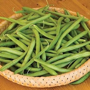 Bean Provider - Burpee Seeds