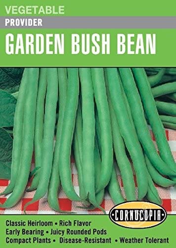 Bean Provider - Cornucopia Seeds