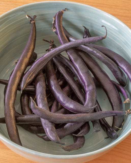 Bean Purple Queen Bush - West Coast Seeds