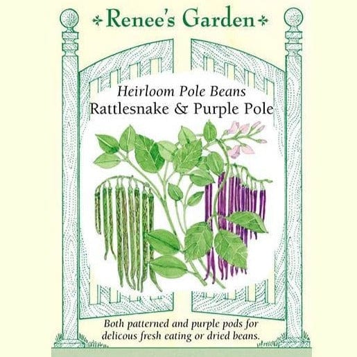 Bean Rattlesnake and Purple Pole - Renee's Garden Seed