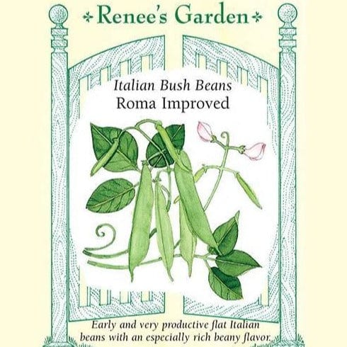 Bean Roma Improved - Renee's Garden Seeds