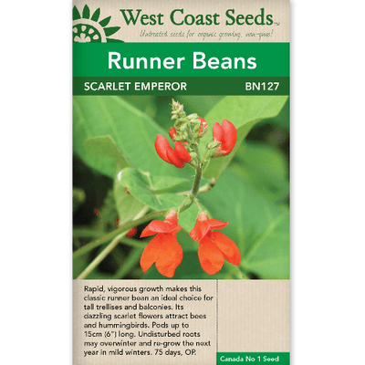 Bean Scarlet Emperor - West Coast Seeds