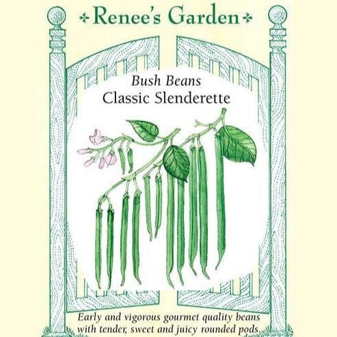 Bean Slenderette Bush - Renee's Garden Seeds