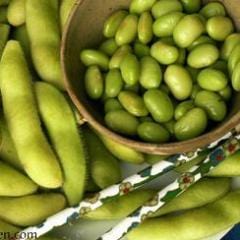 Soy Beans Edamame - Renee's Garden