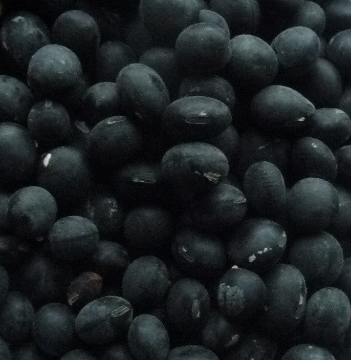 Bean Soya Jet Black - Salt Spring Seeds