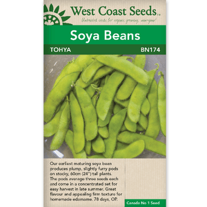 Soya Beans Tohya - West Coast Seeds