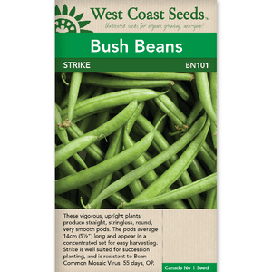 Bush Beans Strike - West Coast Seeds