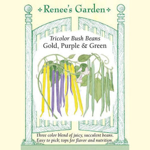 Bush Beans Tricolor - Renee's Garden 