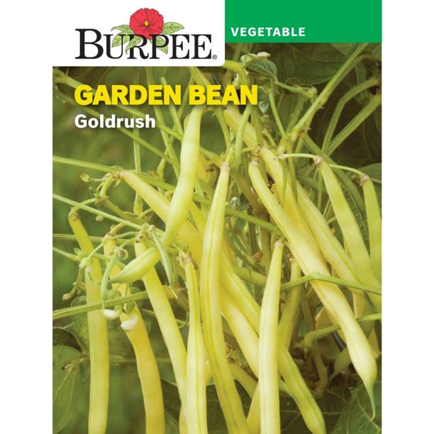 Bean Wax Goldrush - Burpee Seeds