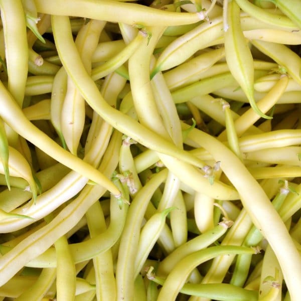 Bean Yellow Goldrush - Saanich Organics