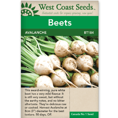Beets Avalanche - West Coast Seeds
