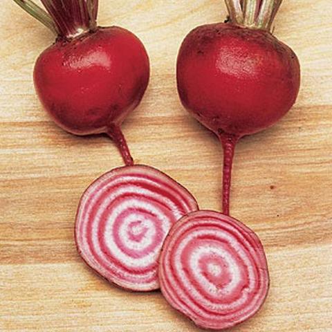 Beet Chioggia - Burpee Seeds