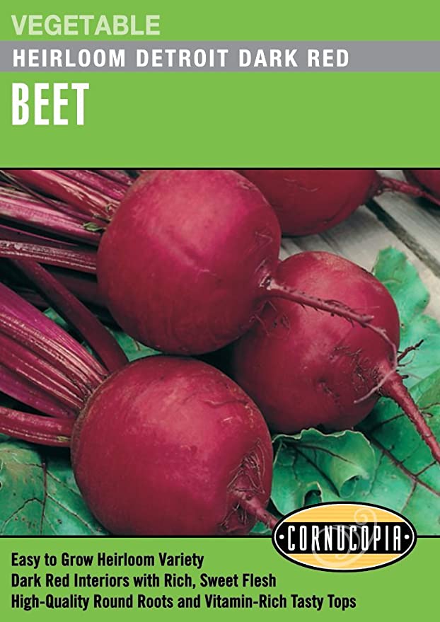 Beet Detroit Dark Red - Cornucopia Seeds