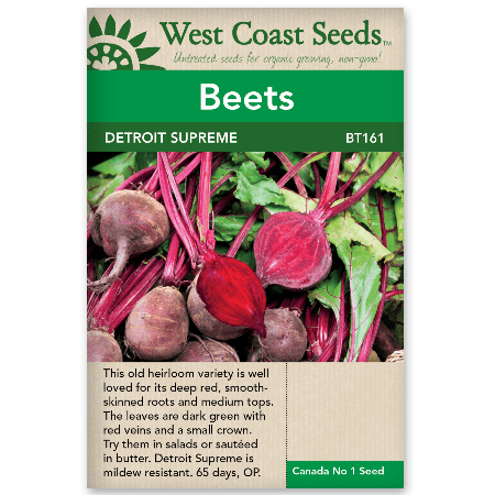 Beets Detroit Supreme - West Coast Seeds