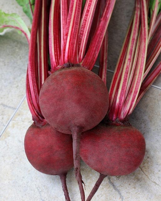 Beet Detroit Supreme - West Coast Seeds