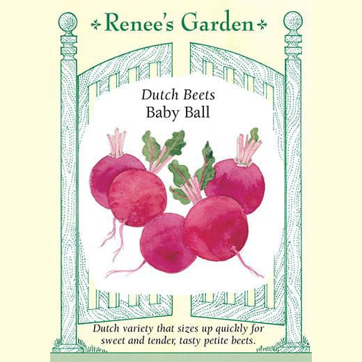 Dutch Beets Baby Ball - Renee's Garden 