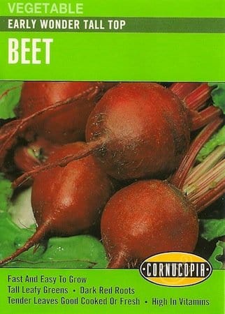 Beet Early Wonder Tall Top - Cornucopia Seeds