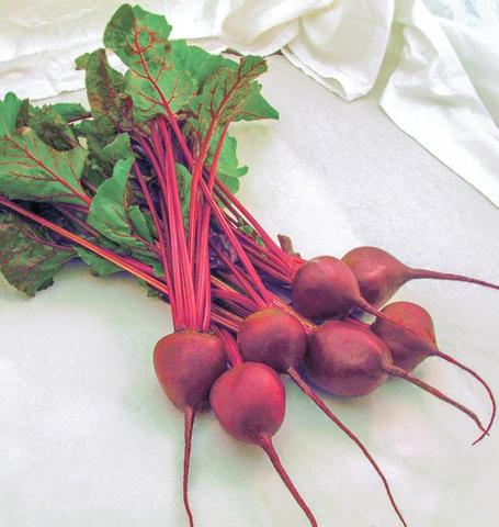 Beet Early Wonder Tall Top - West Coast Seeds