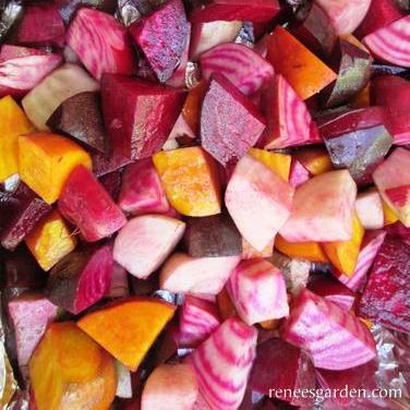 Beets Five Color Rainbow - Renee's Garden Seeds