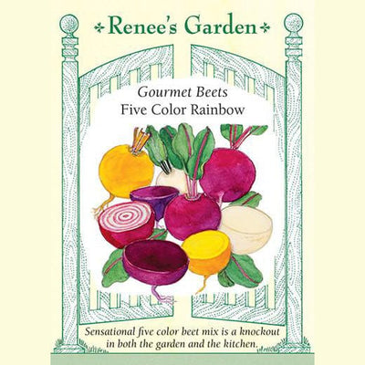 Beets Five Color Rainbow - Renee's Garden 