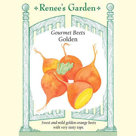 Beets Golden - Renee's Garden Seeds