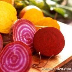 Beets Jewel-Toned Blend - Renee's Garden Seeds