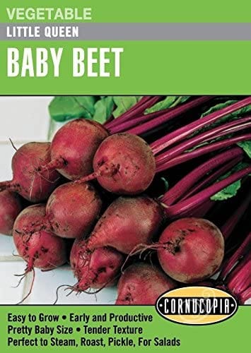 Beet Little Queen - Cornucopia Seeds