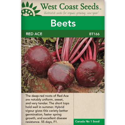 Beets Red Ace - West Coast Seeds