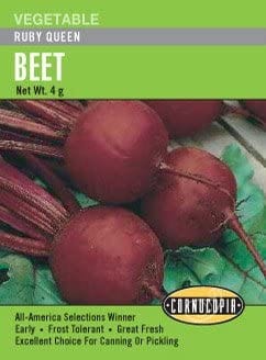 Beet Ruby Queen - Cornucopia Seeds