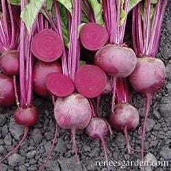 Beets Sweet Merlin - Renee's Garden Seeds