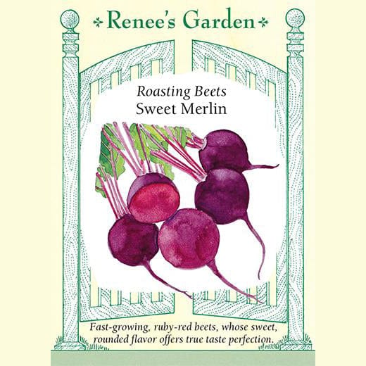 Beets Sweet Merlin - Renee's Garden Seeds