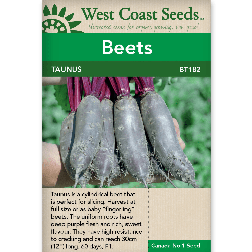 Beets Taunus - West Coast Seeds