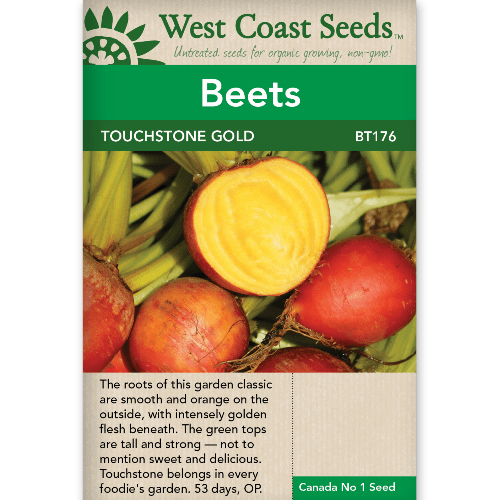 Beets Touchstone Gold - West Coast Seeds