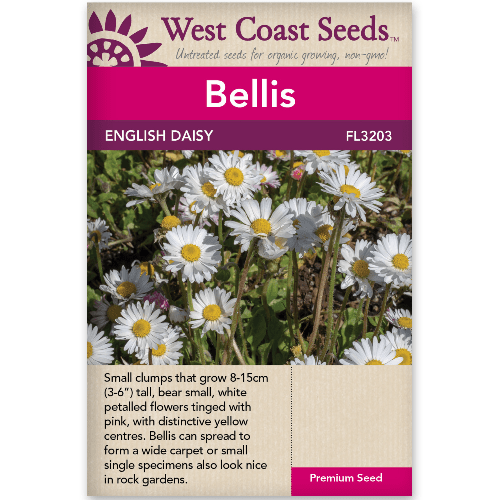 Bellis English Daisy - West Coast Seeds