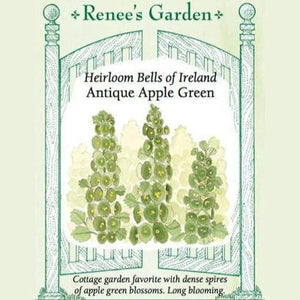 Bells of Ireland - Renee's Garden Seeds