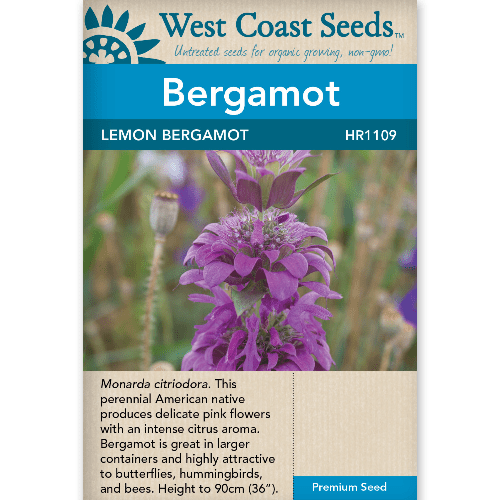 Bergamot Lemon - West Coast Seeds