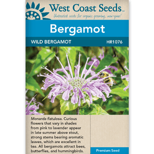 Bergamot Wild - West Coast Seeds