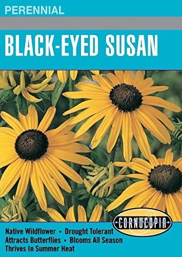 Black-Eyed Susan - Cornucopia Seeds
